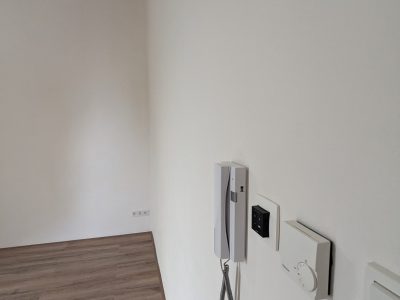 PXL_20230629_160611847