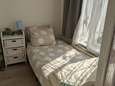 WhatsApp Image 2025-02-03 at 12.11.30